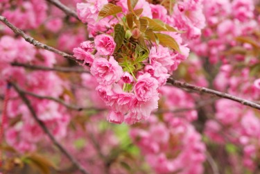 上海线下个人借款平台一站式服务，轻松解决资金难题