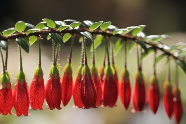 上海零用贷短借：轻松解决临时资金需求