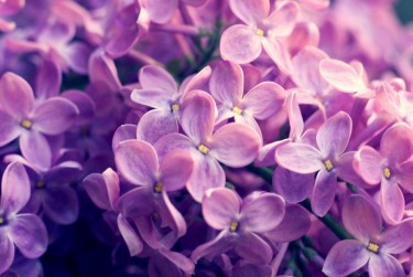 上海企业急用钱贷款攻略：快速融资解燃眉之急